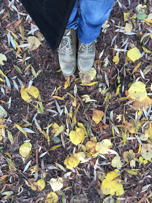 Maaltijdsoep van koolrabi, warmoes, champignons en boekweit